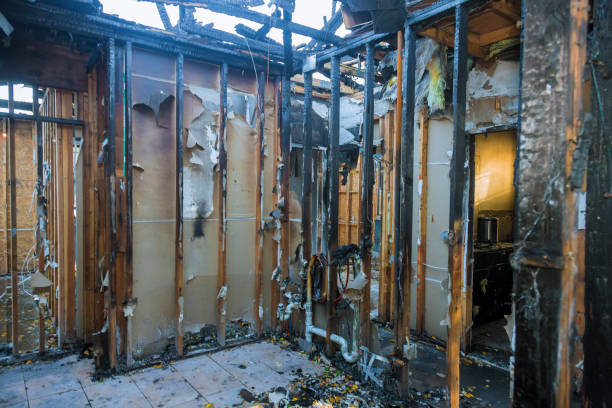 Professional Fire Damage Assessment technician working in Buena, NJ